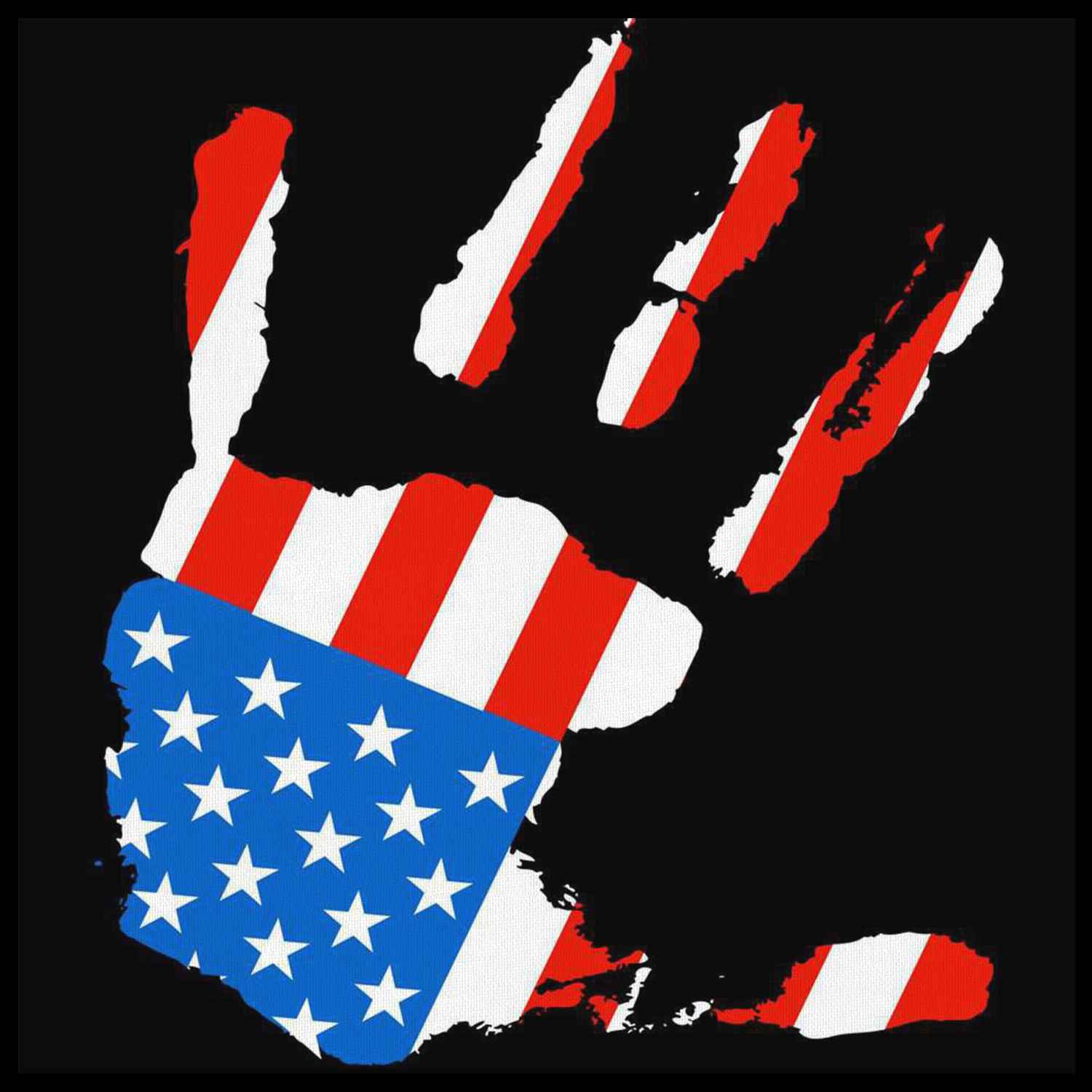 Patriotic Hand Art - Canvas Art