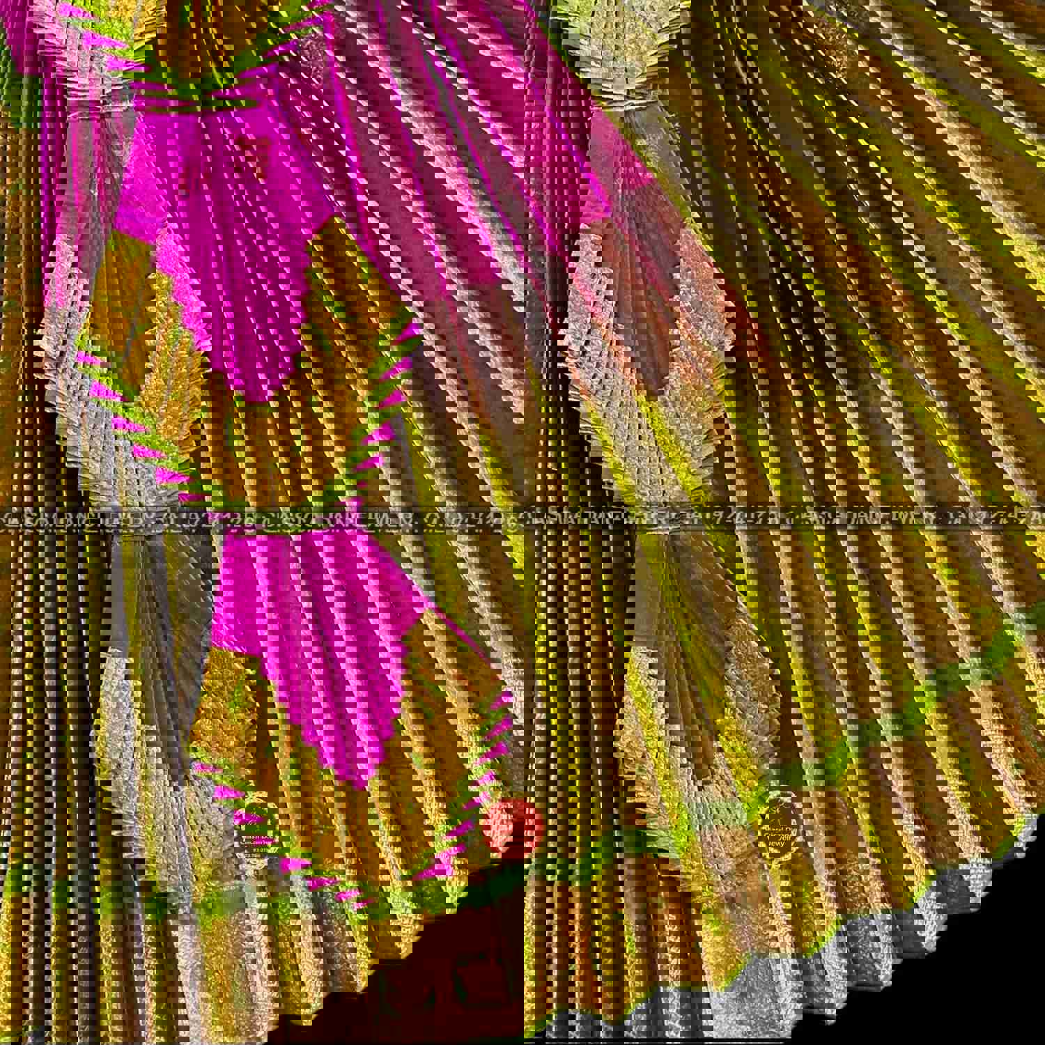 PURPLE GREEN 36 Inch Pant Length Bharatanatyam Copper Zari Dance Costume | Art Silk Dharmavaram Kanchi