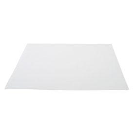 I.W. Tremont QS810 Grade Quartz-A Quartz Glass Microfiber Filter Paper, 8 x 10-Inch Sheets, 2.2um, Binderless, Non-Sterile (Pack of 100)