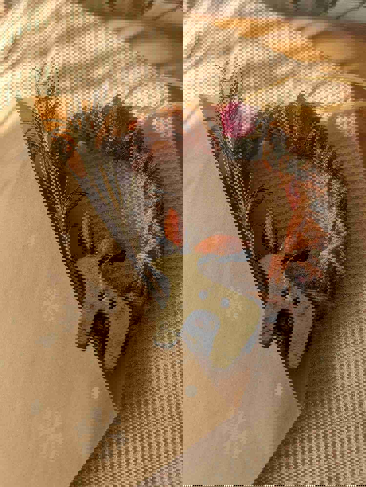 Christmas Wreath | Rabbit Treat and Chew Toy