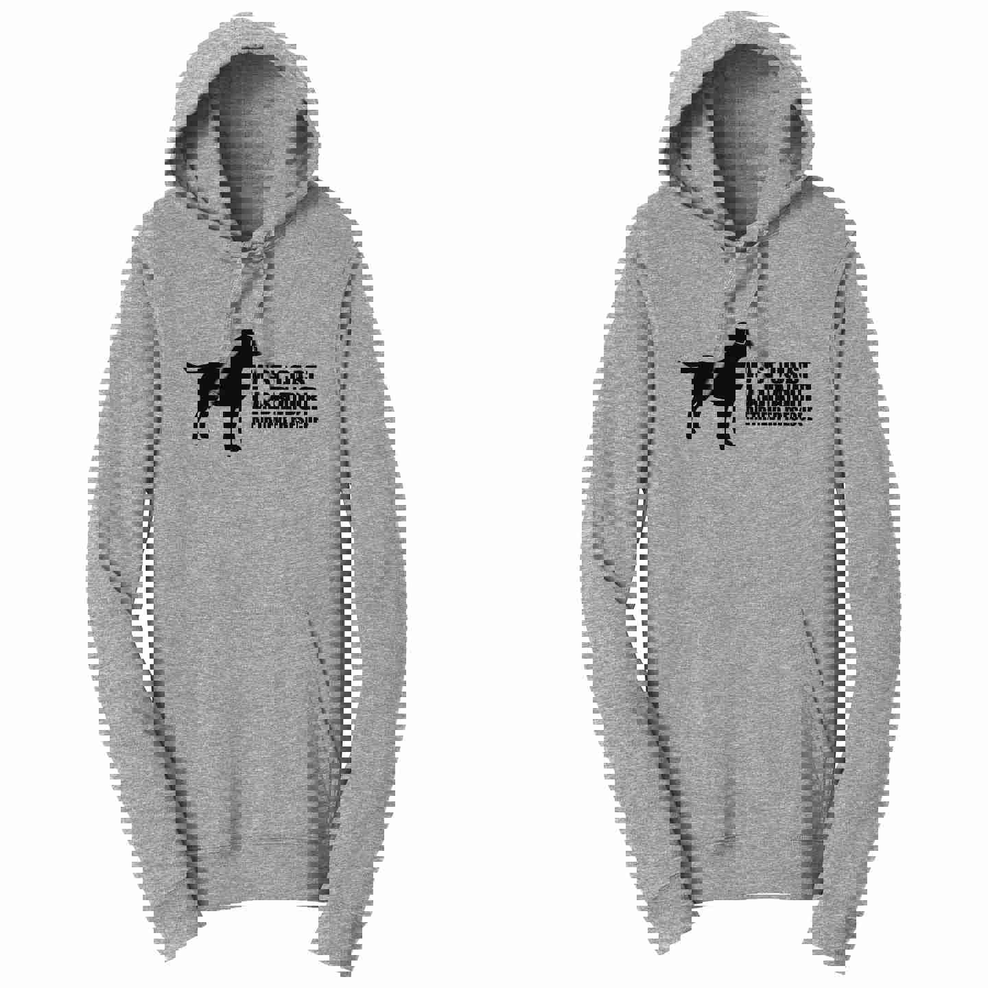 WCLRR Lab Impact Logo - Adult Unisex Hoodie Sweatshirt