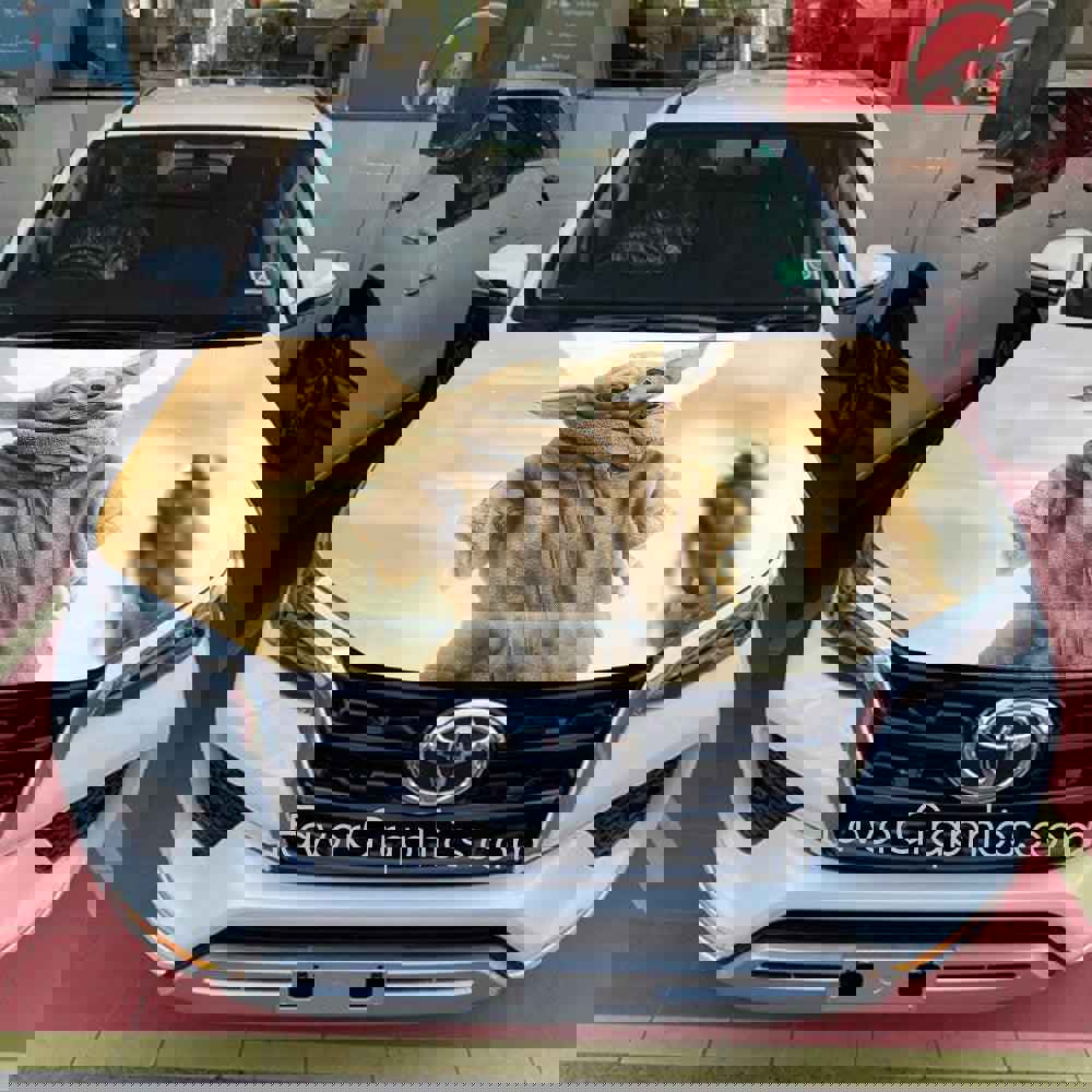 Star Wars Baby Yoda Itasha Car Decal Vinyl Hood Wrap - High Quality Graphic