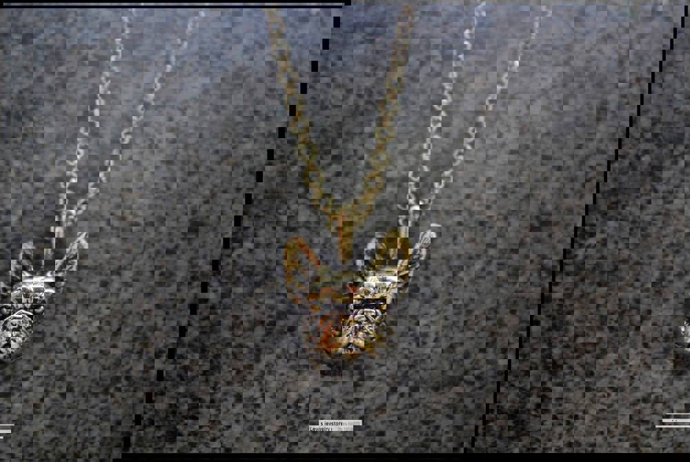 G.SKY Retro Hippie French Bulldog Necklace - Punk Jewelry (Buy One Get One Free)