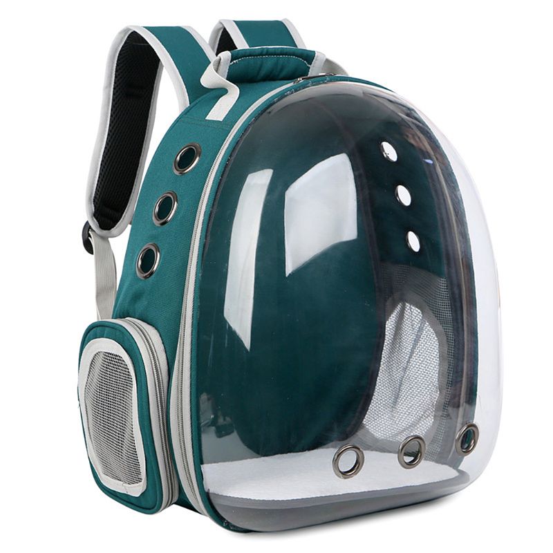 Breathable Transparent Capsule Pet Travel Backpack Carrier for Cats and Puppies