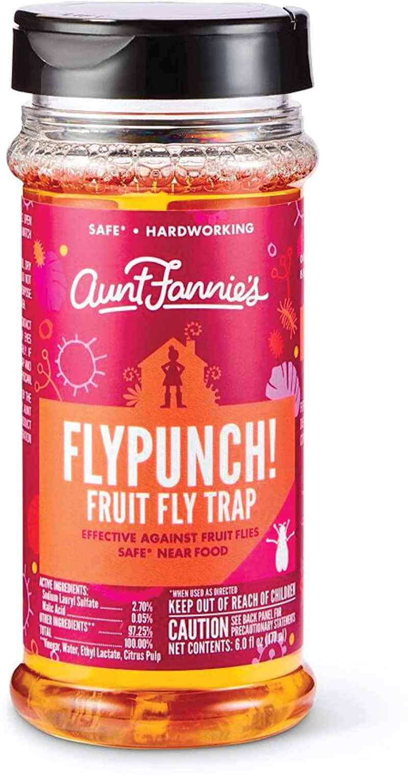 Aunt Fannies FlyPunch - Fruit Fly Trap (6-Pack), Safe & Effective Indoor Solution