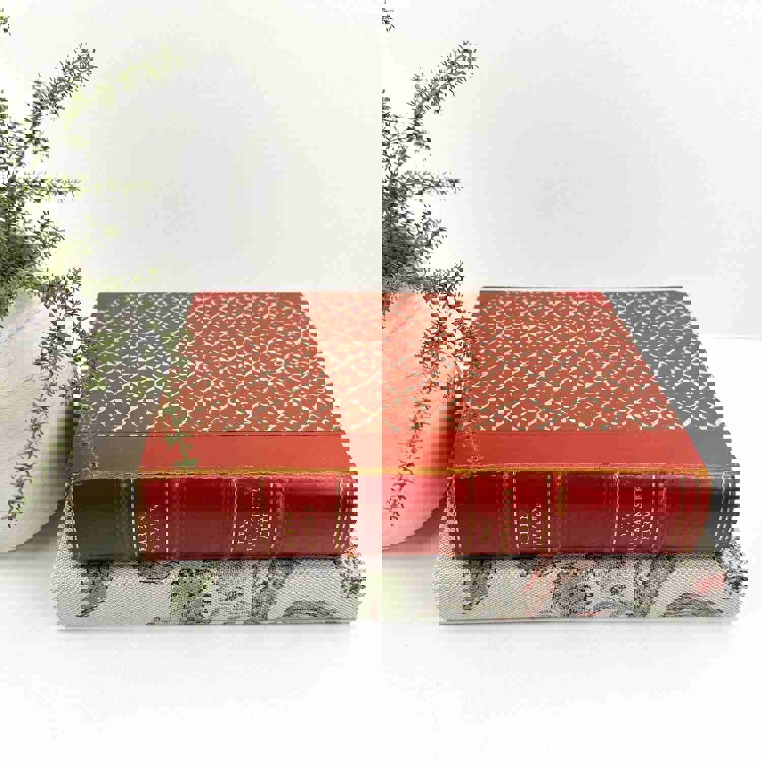 Red Decorative Book Set for Home Decor