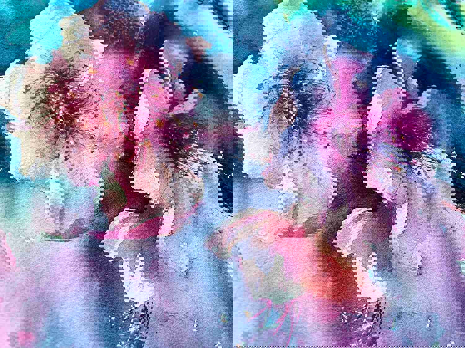 Pink Flower Painting, Original Watercolor Art, Blooming Flowers Tree, Botanical Wall Decor, Wedding Gift, Nature Fine Art