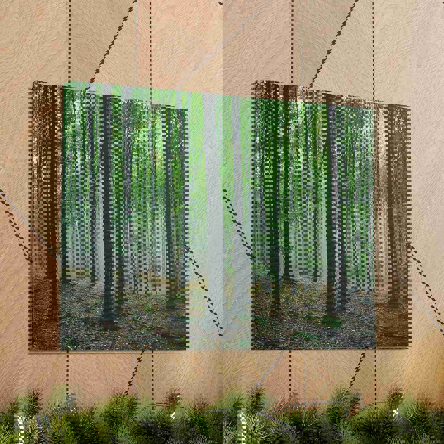 Misty Green Pine Tree Forest Nature Wilderness Photography Canvas Wall Art