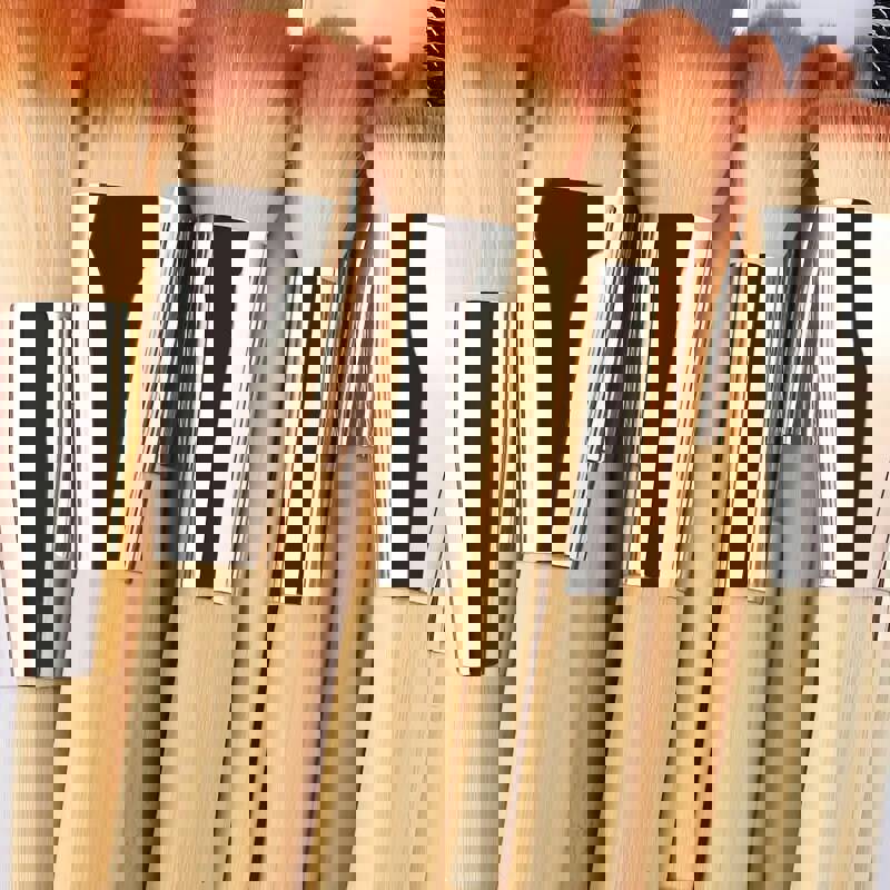 18pcs Beauty Professional Makeup Brushes Set - Foundation, Powder, Blending, Concealer, Eye Shadows & Blush