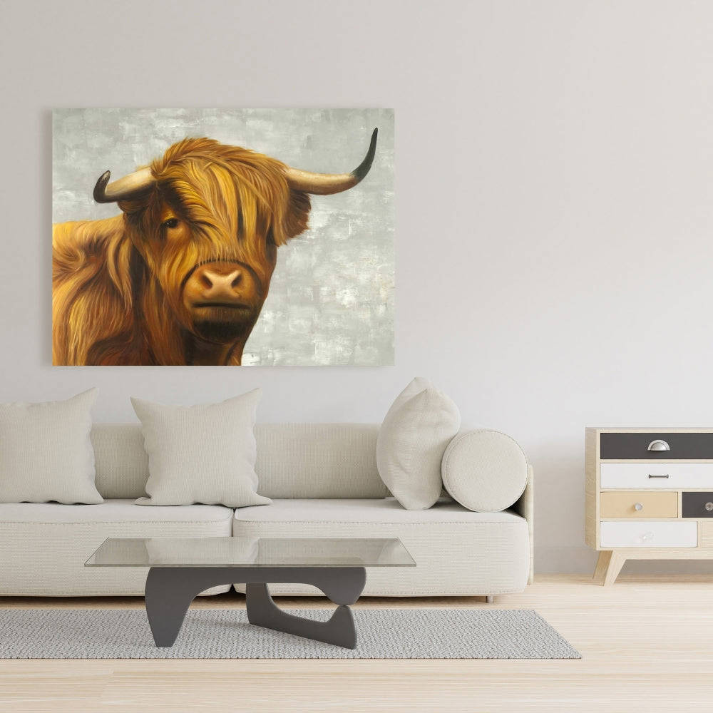 Highland Cattle Fine Art Gallery Wrapped Canvas 24x36