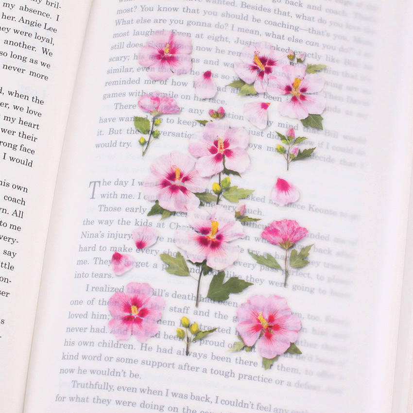 Appree Pressed Flower Stickers - Rose of Sharon