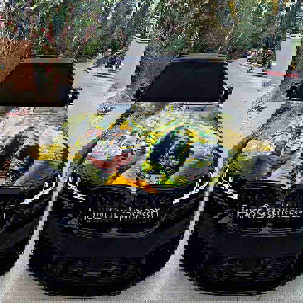 Green Bay Packers Itasha Car Vinyl Hood Wrap Decal Sticker