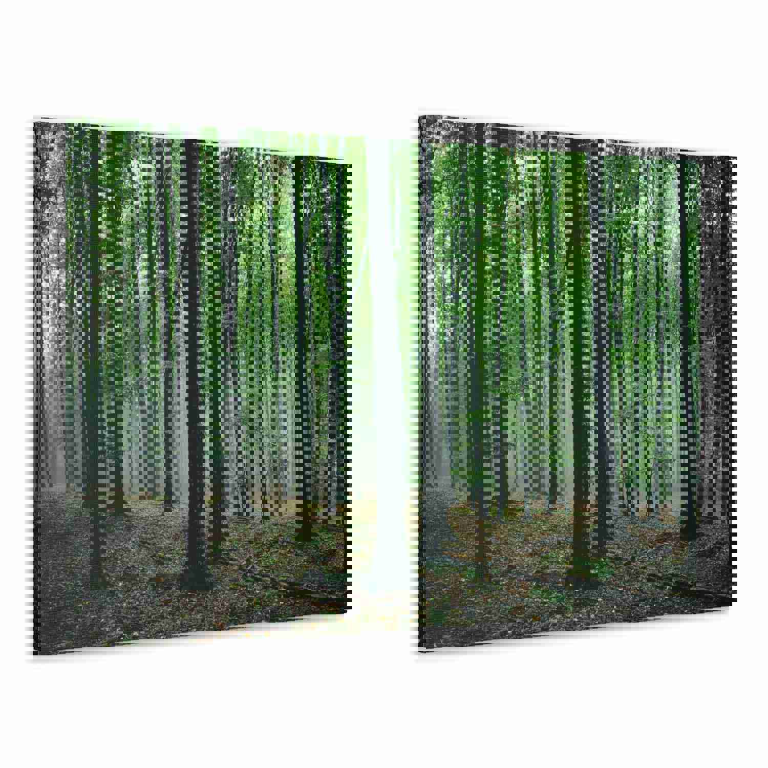 Misty Green Pine Tree Forest Nature Wilderness Photography Canvas Wall Art