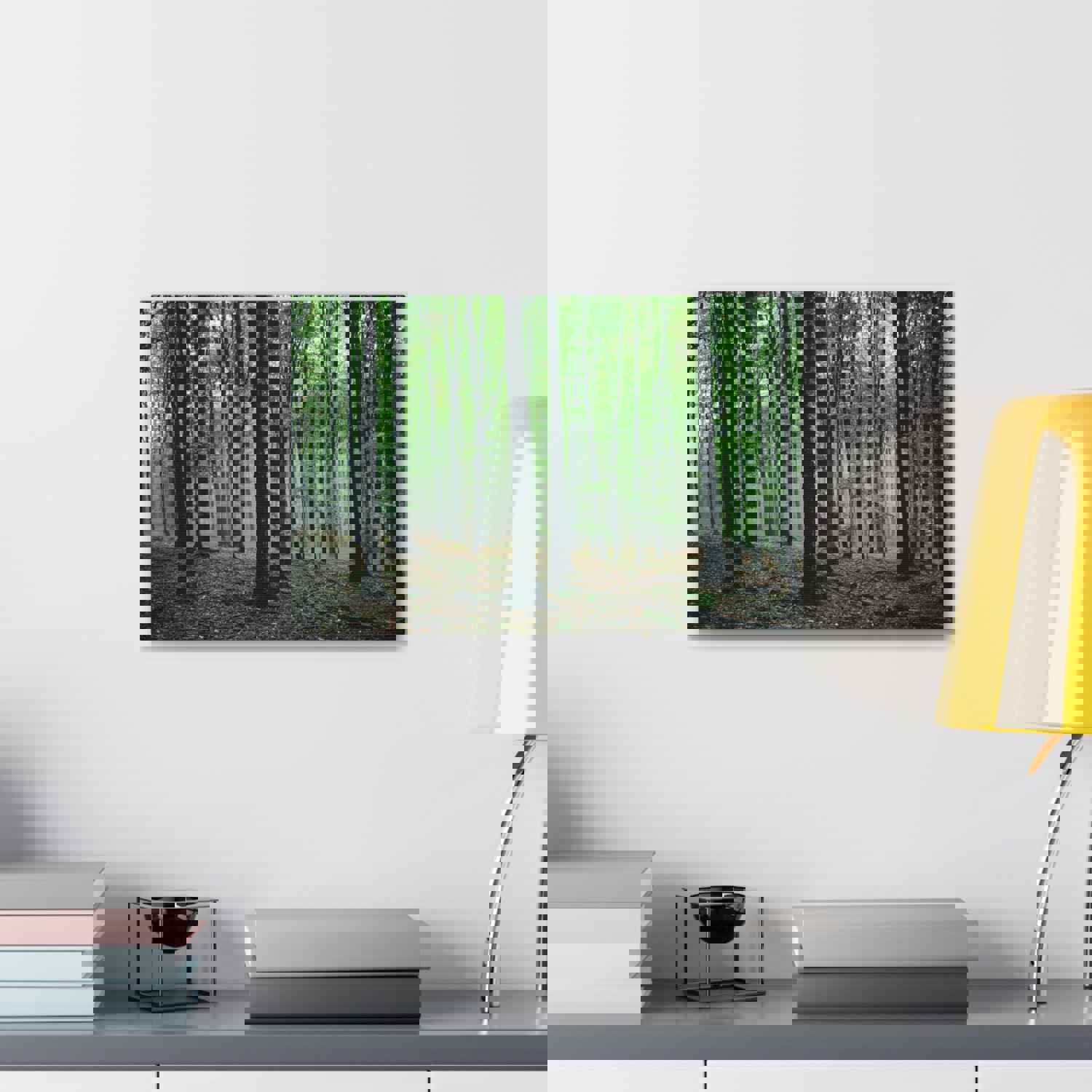 Misty Green Pine Tree Forest Nature Wilderness Photography Canvas Wall Art