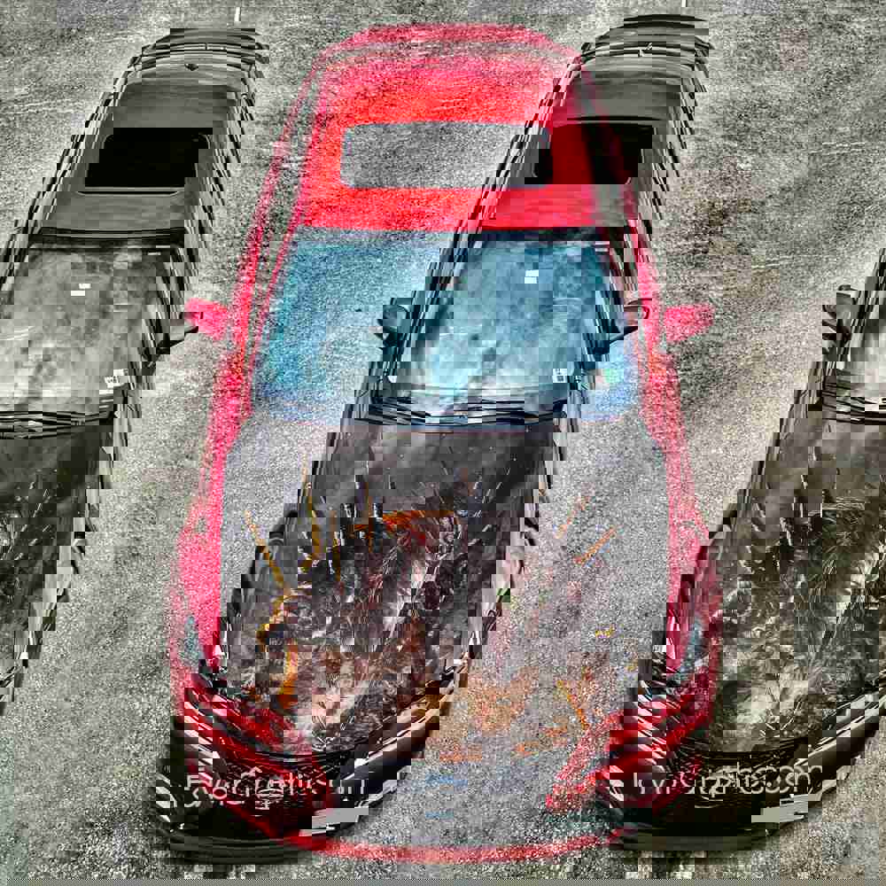 Spawn Itasha Car Vinyl Hood Wrap Decal Sticker