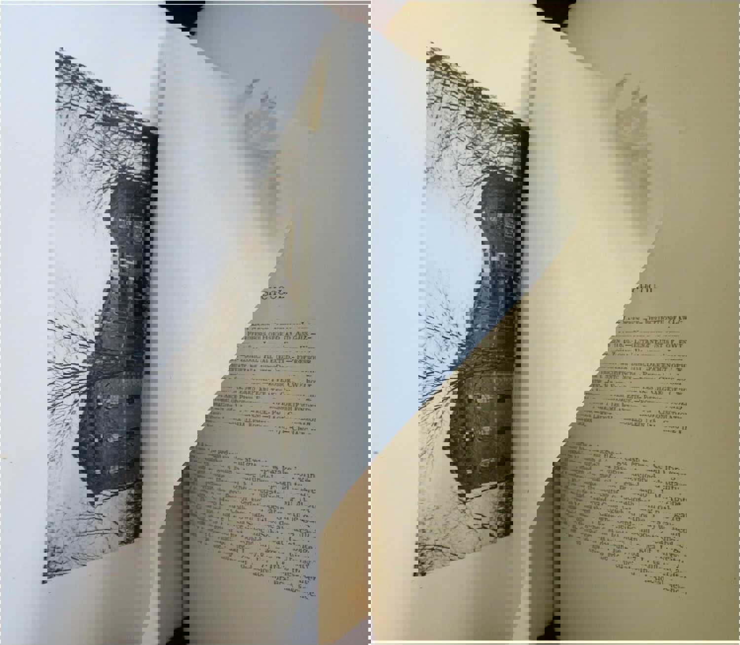 Harvard Book: A Series of Historical, Biographical, and Descriptive Sketches (1875, 2 Volumes)