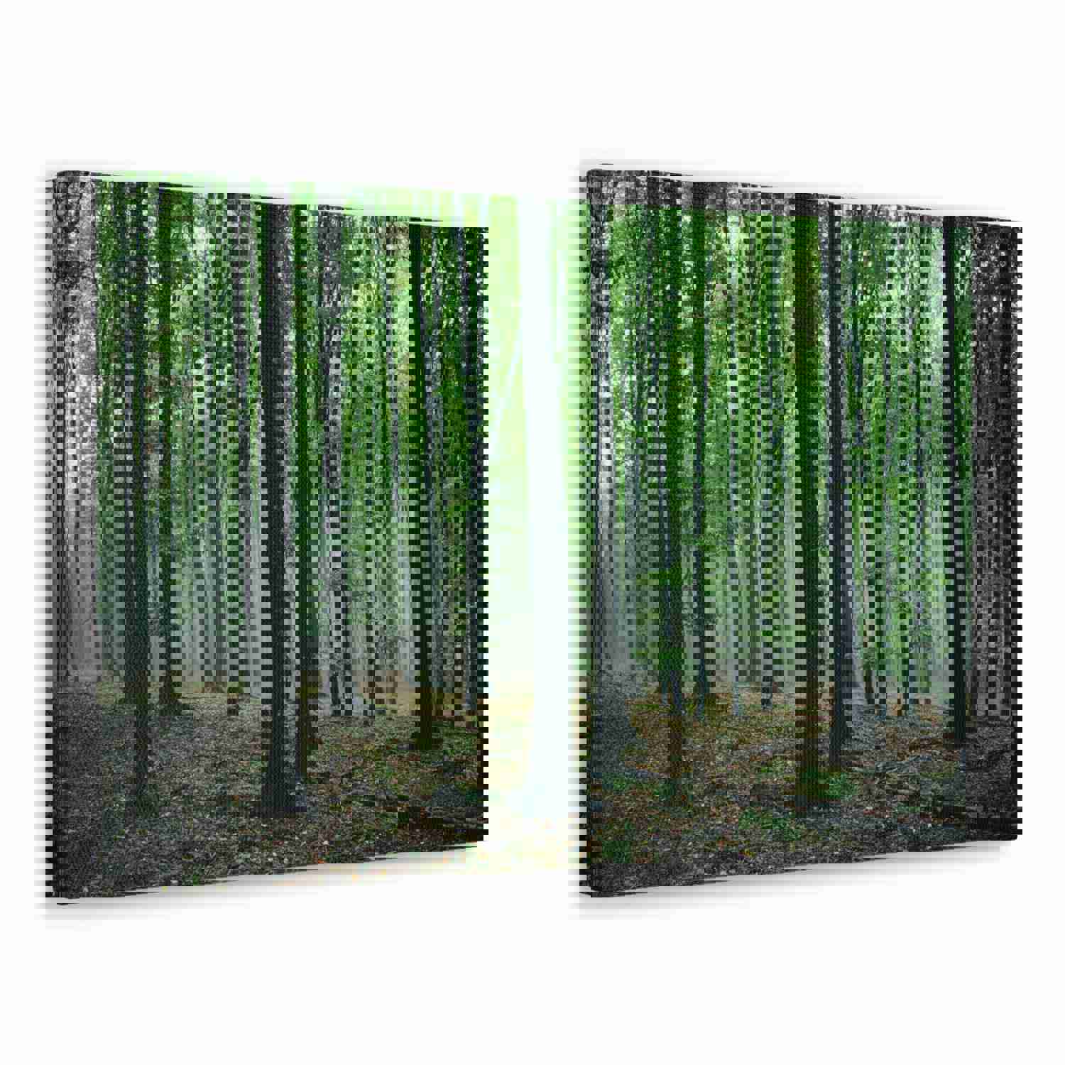 Misty Green Pine Tree Forest Nature Wilderness Photography Canvas Wall Art