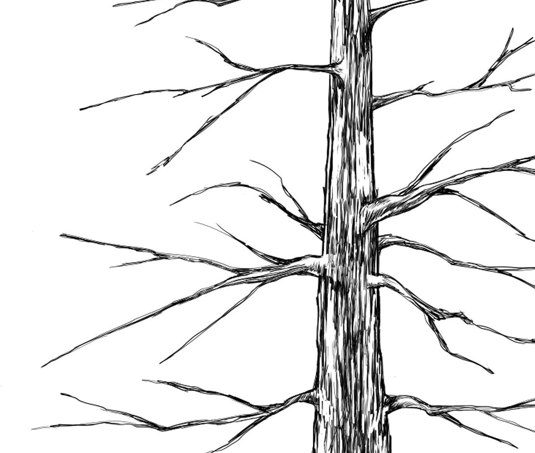 Signature Pine Tree Guestbook for Weddings - Rustic & Boho Alternative Guest Book