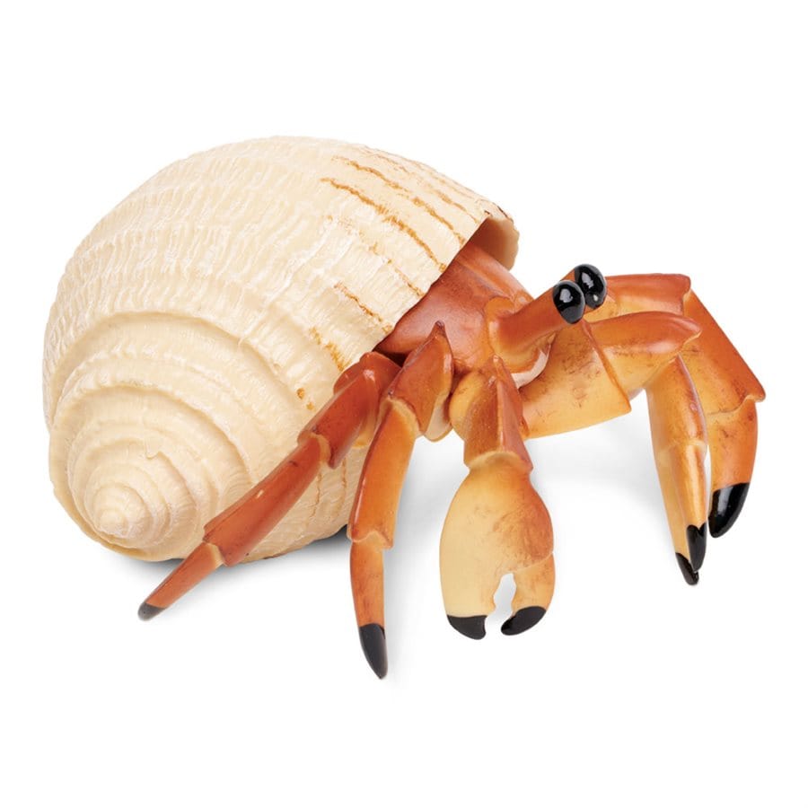 Hermit Crab Toy Figurine