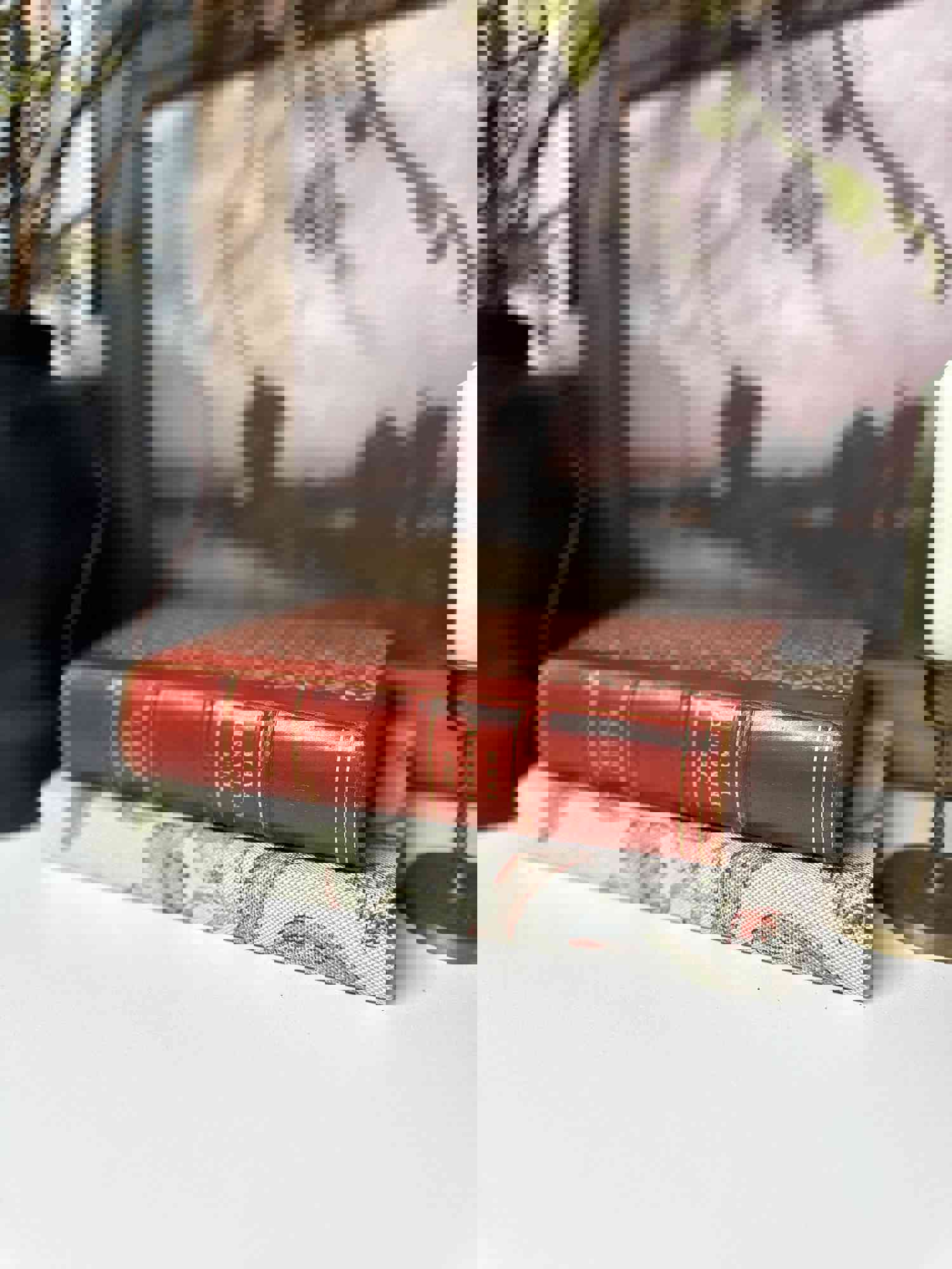 Red Decorative Book Set for Home Decor