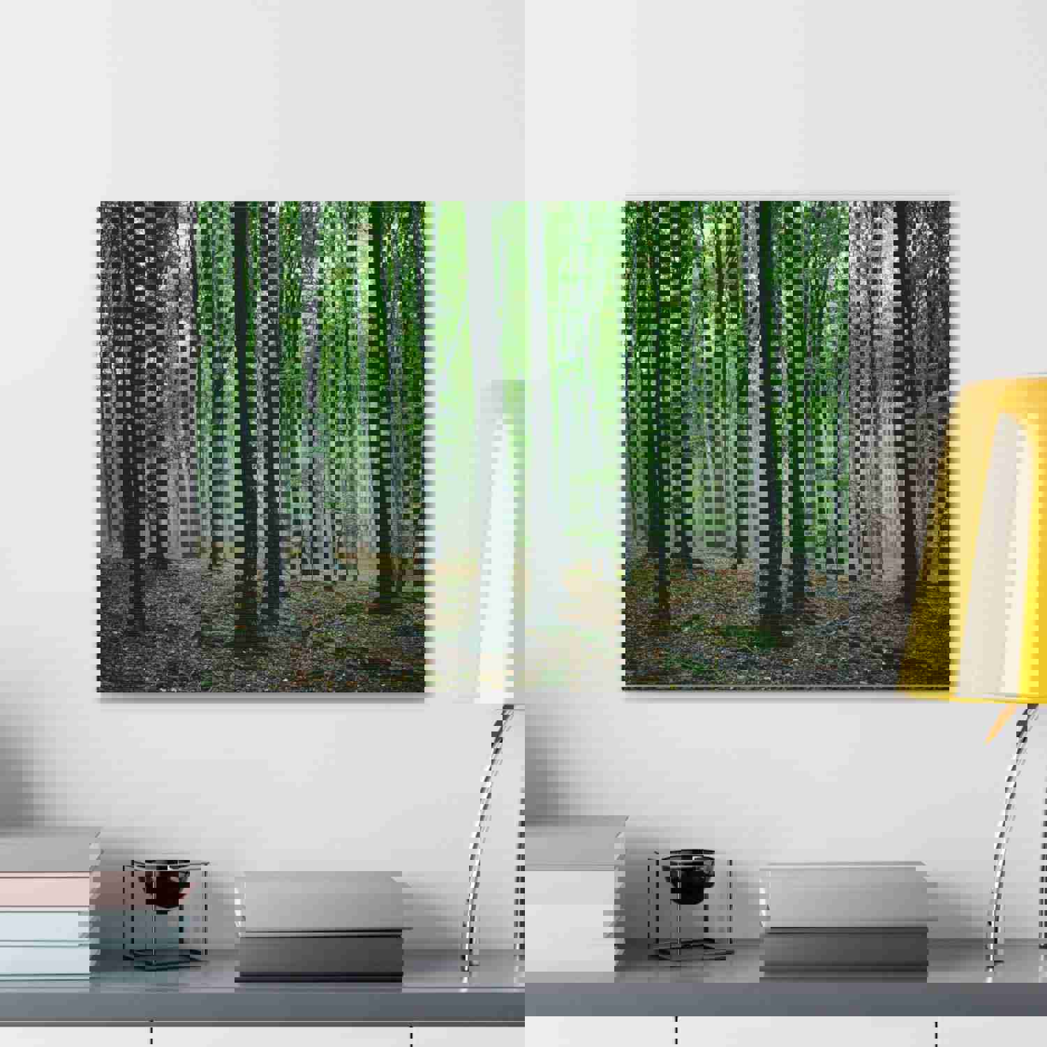 Misty Green Pine Tree Forest Nature Wilderness Photography Canvas Wall Art