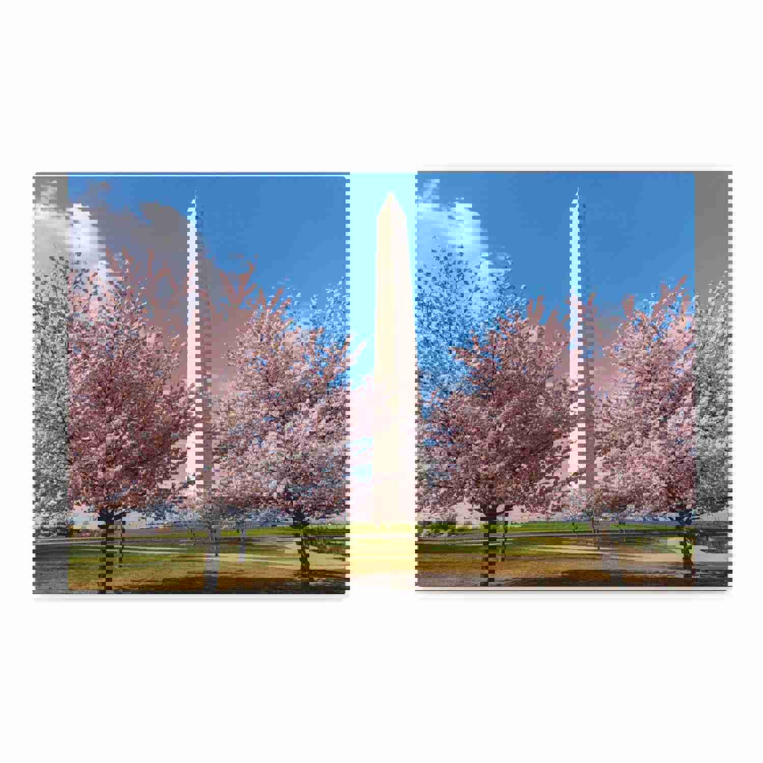 Washington Blossom Festival Nature Wilderness Photography Canvas Wall Art for Home Decor