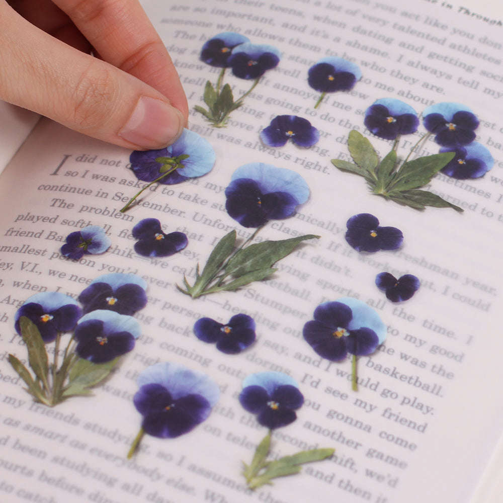 Pressed Flower Sticker Pansy