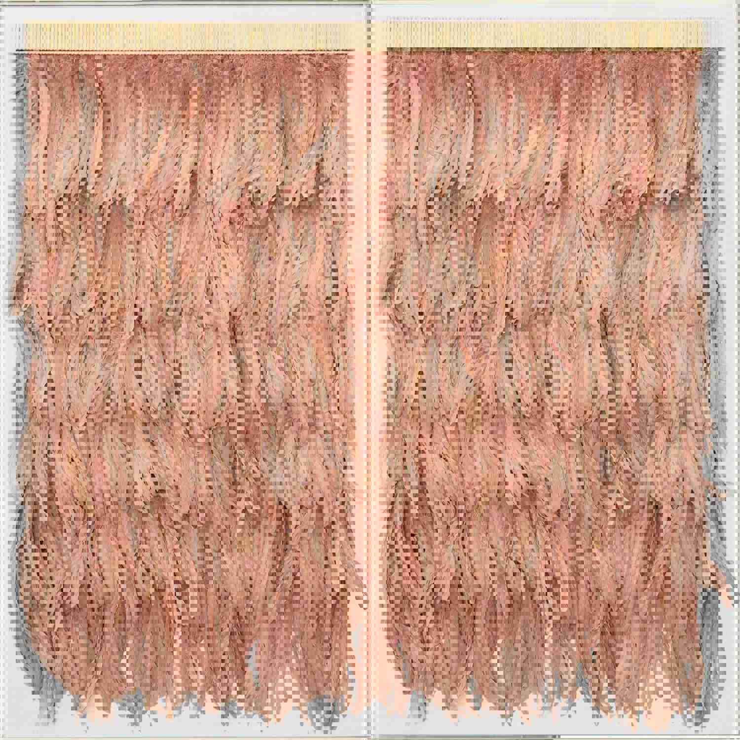 Natural Curiosities Rose Feathers Art - Custom Framed Wall Decor