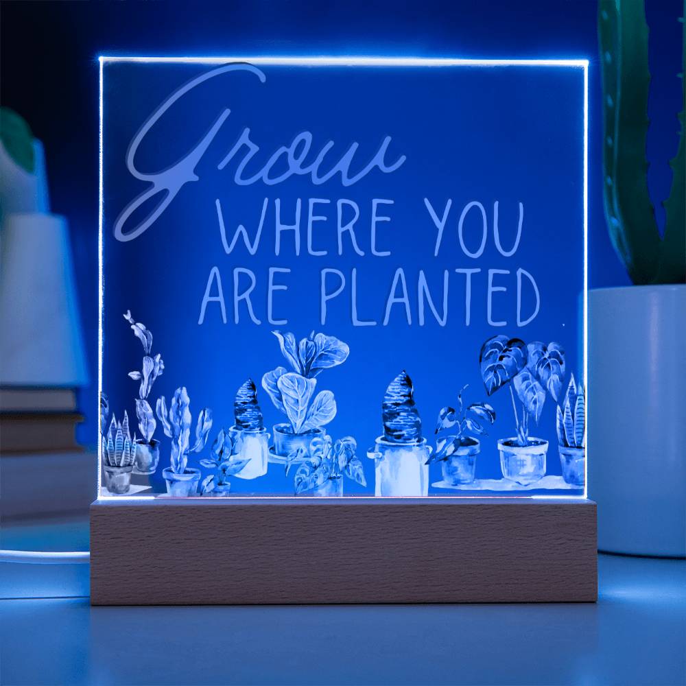 Grow Where You Are Planted - Funny Plant Acrylic with LED Night Light - Indoor Home Garden Decor - Perfect Gift for Plant Lovers