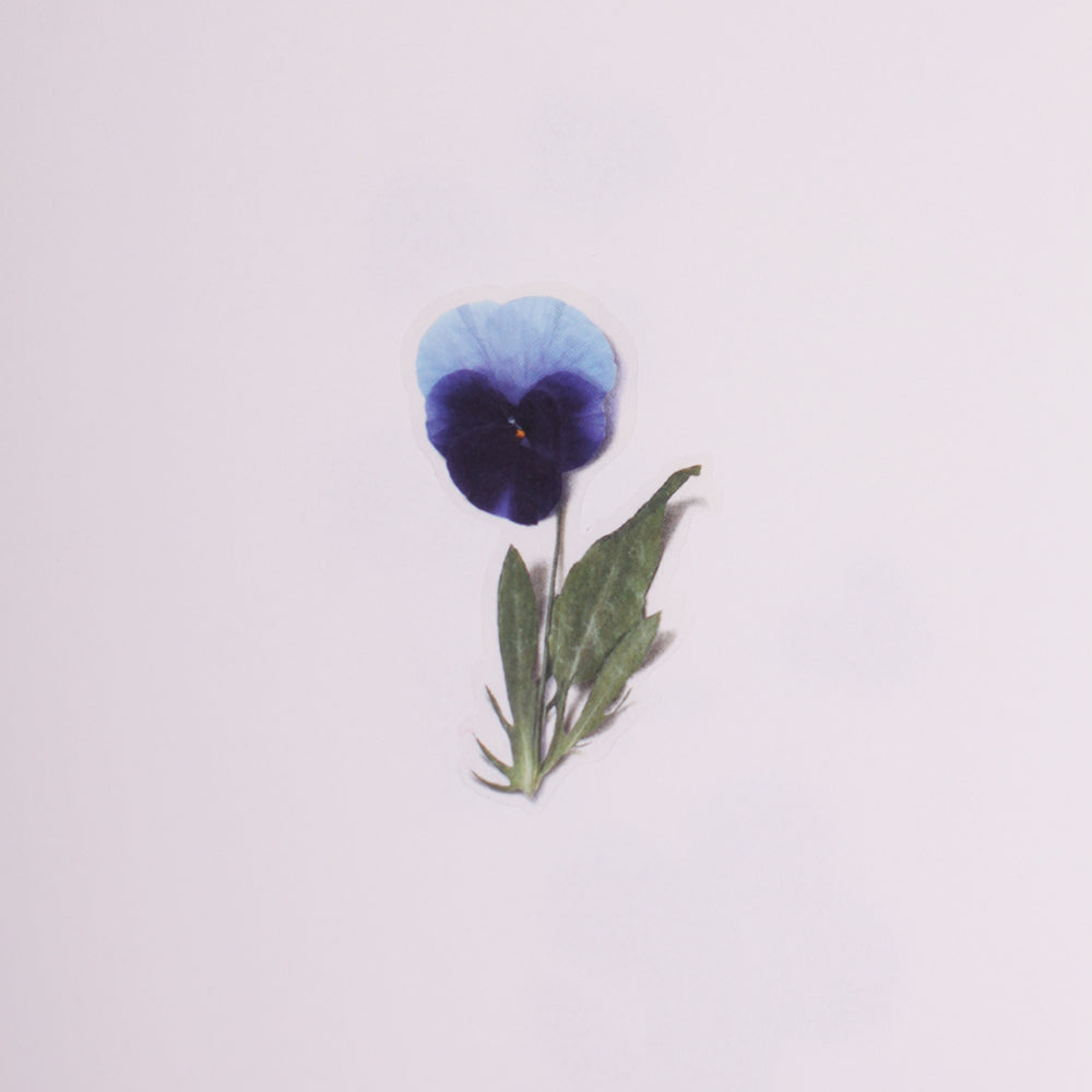 Pressed Flower Sticker Pansy