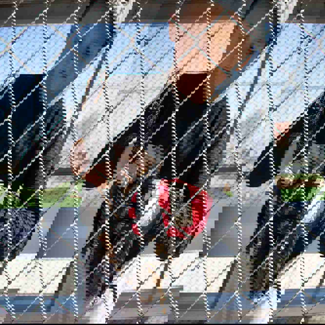PowerNet Fence Hook 2-Pack - Convenient & Safe Gear Organizer for Sports