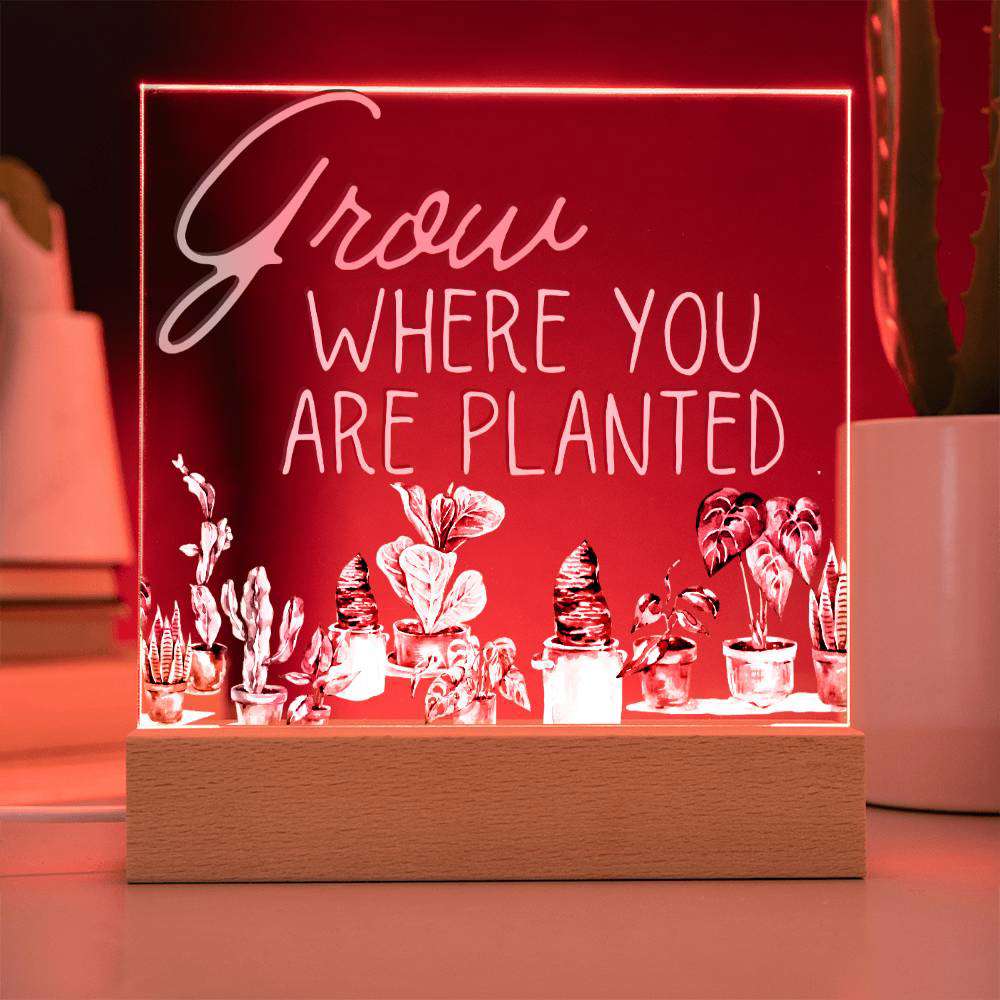 Grow Where You Are Planted - Funny Plant Acrylic with LED Night Light - Indoor Home Garden Decor - Perfect Gift for Plant Lovers