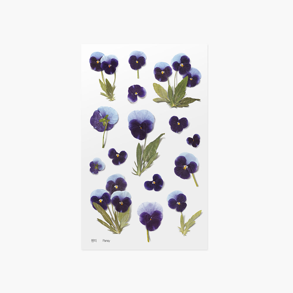 Pressed Flower Sticker Pansy