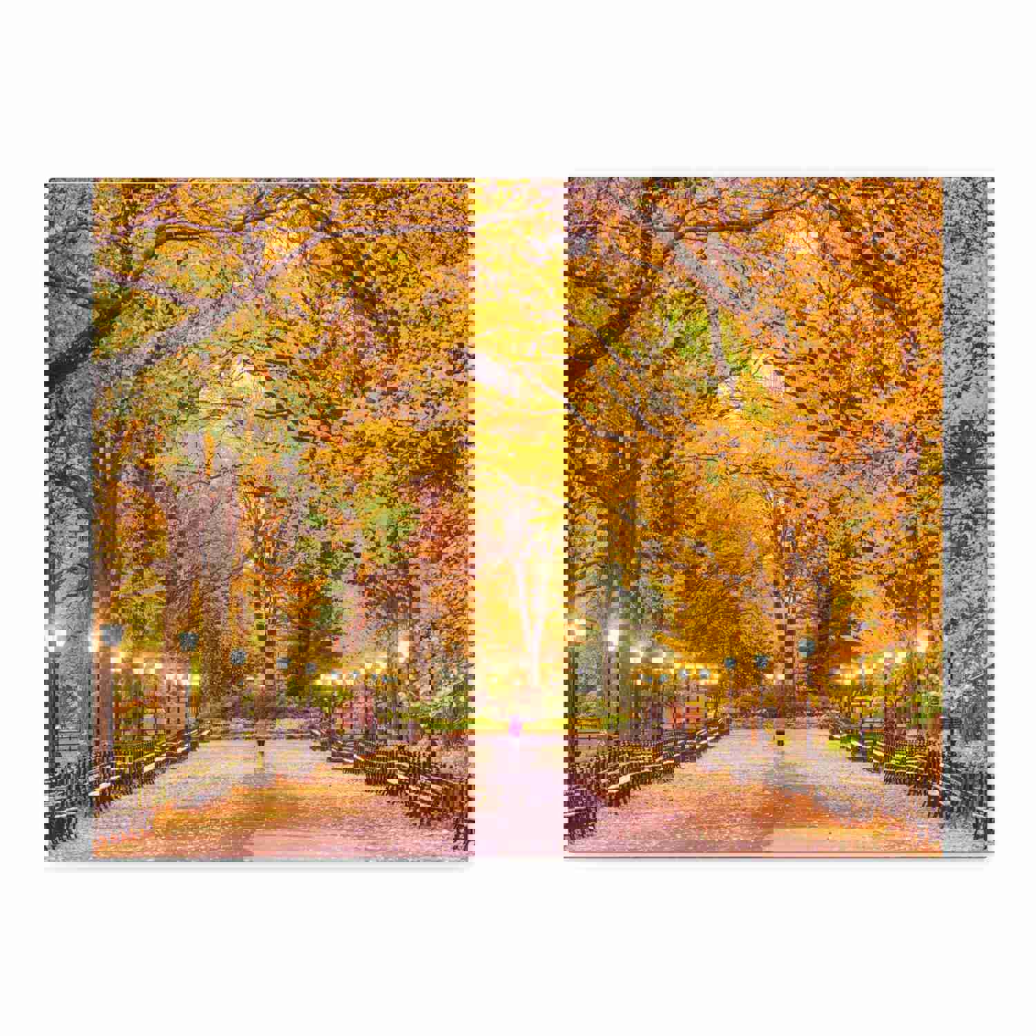 Orange Tree Autumn Park Nature Wilderness Photography Canvas Wall Art for Home Decor