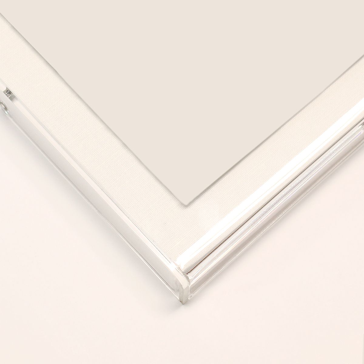 Natural Curiosities Rose Feathers Art - Custom Framed Wall Decor