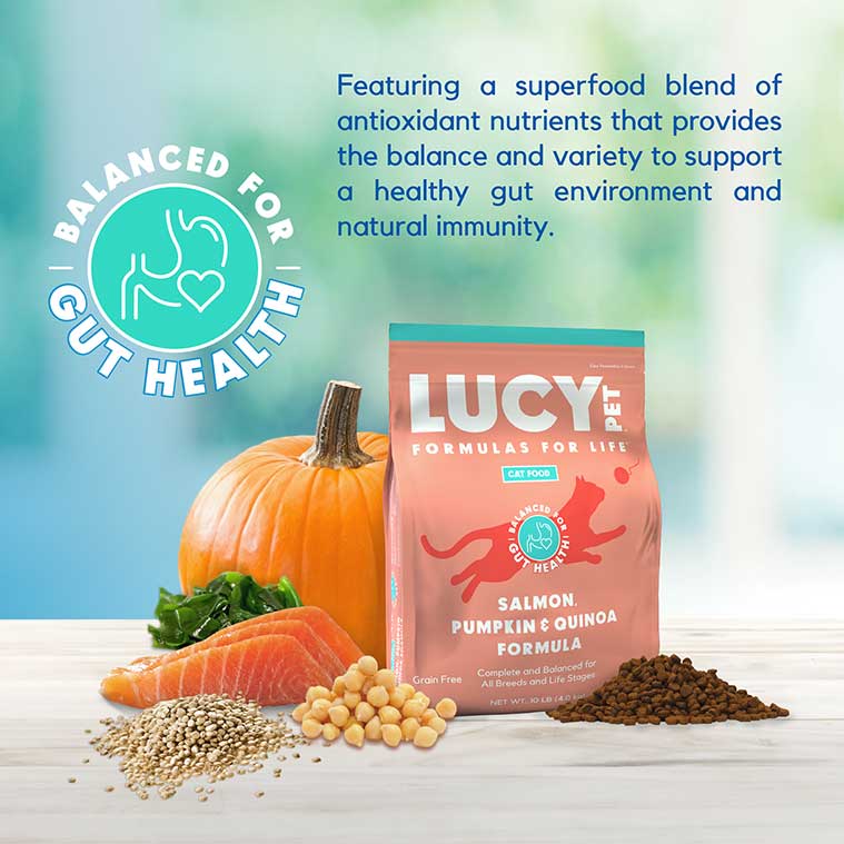 Lucy Pet Salmon, Pumpkin & Quinoa Dry Cat Food - Grain-Free Formula for Digestive Health