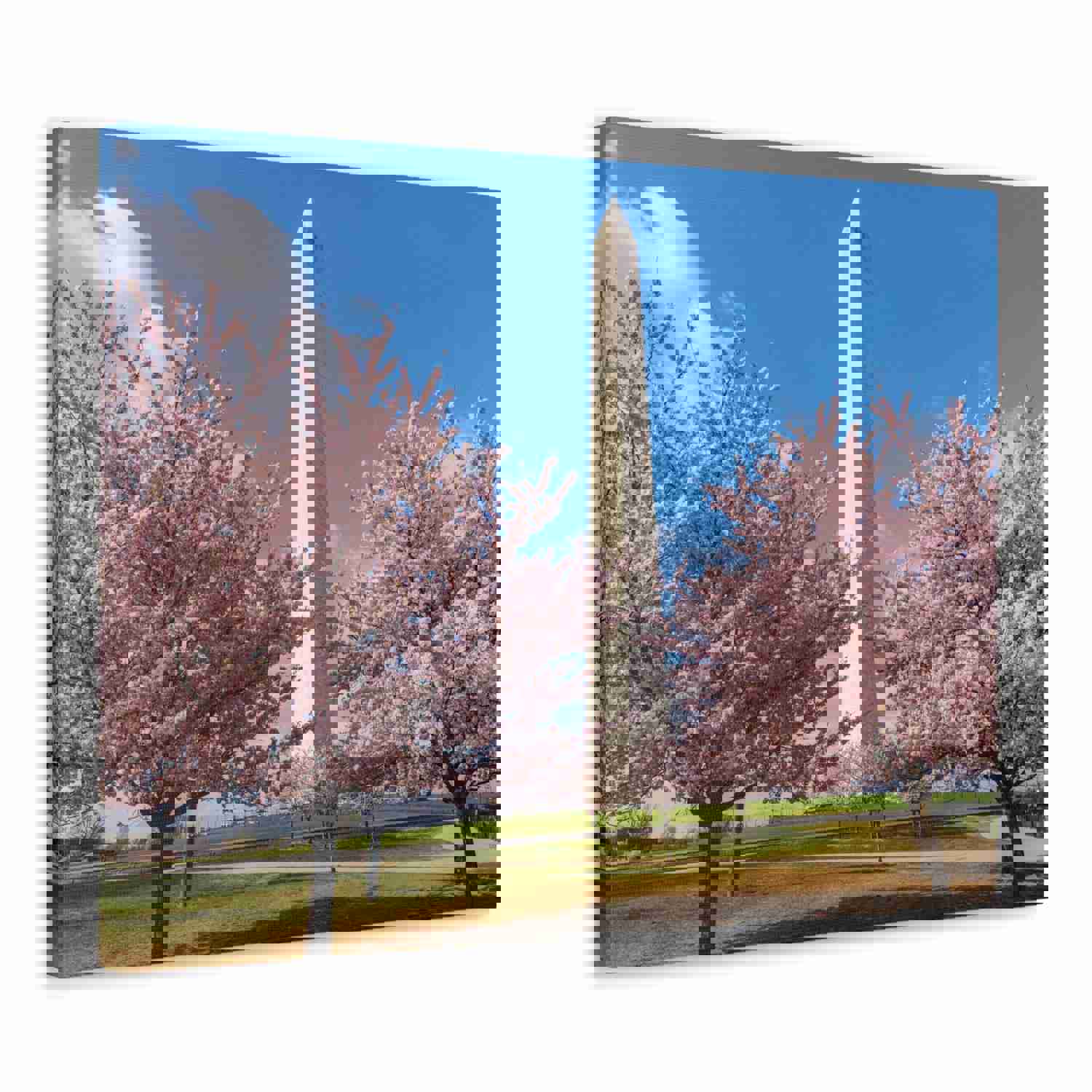 Washington Blossom Festival Nature Wilderness Photography Canvas Wall Art for Home Decor