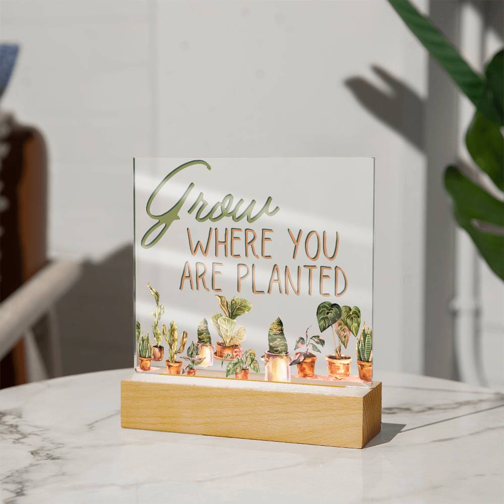 Grow Where You Are Planted - Funny Plant Acrylic with LED Night Light - Indoor Home Garden Decor - Perfect Gift for Plant Lovers