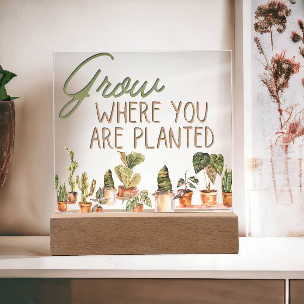 Grow Where You Are Planted - Funny Plant Acrylic with LED Night Light - Indoor Home Garden Decor - Perfect Gift for Plant Lovers