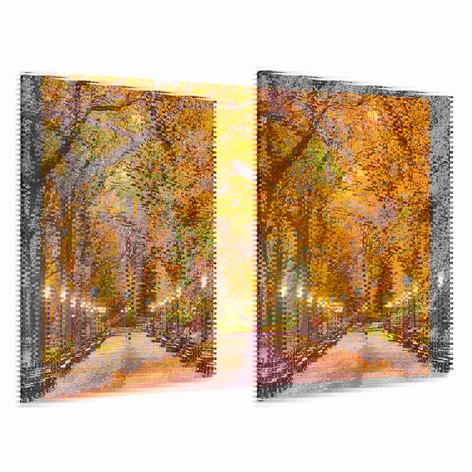 Orange Tree Autumn Park Nature Wilderness Photography Canvas Wall Art for Home Decor