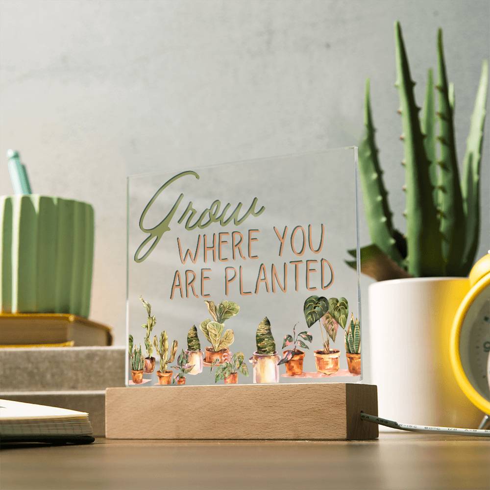 Grow Where You Are Planted - Funny Plant Acrylic with LED Night Light - Indoor Home Garden Decor - Perfect Gift for Plant Lovers