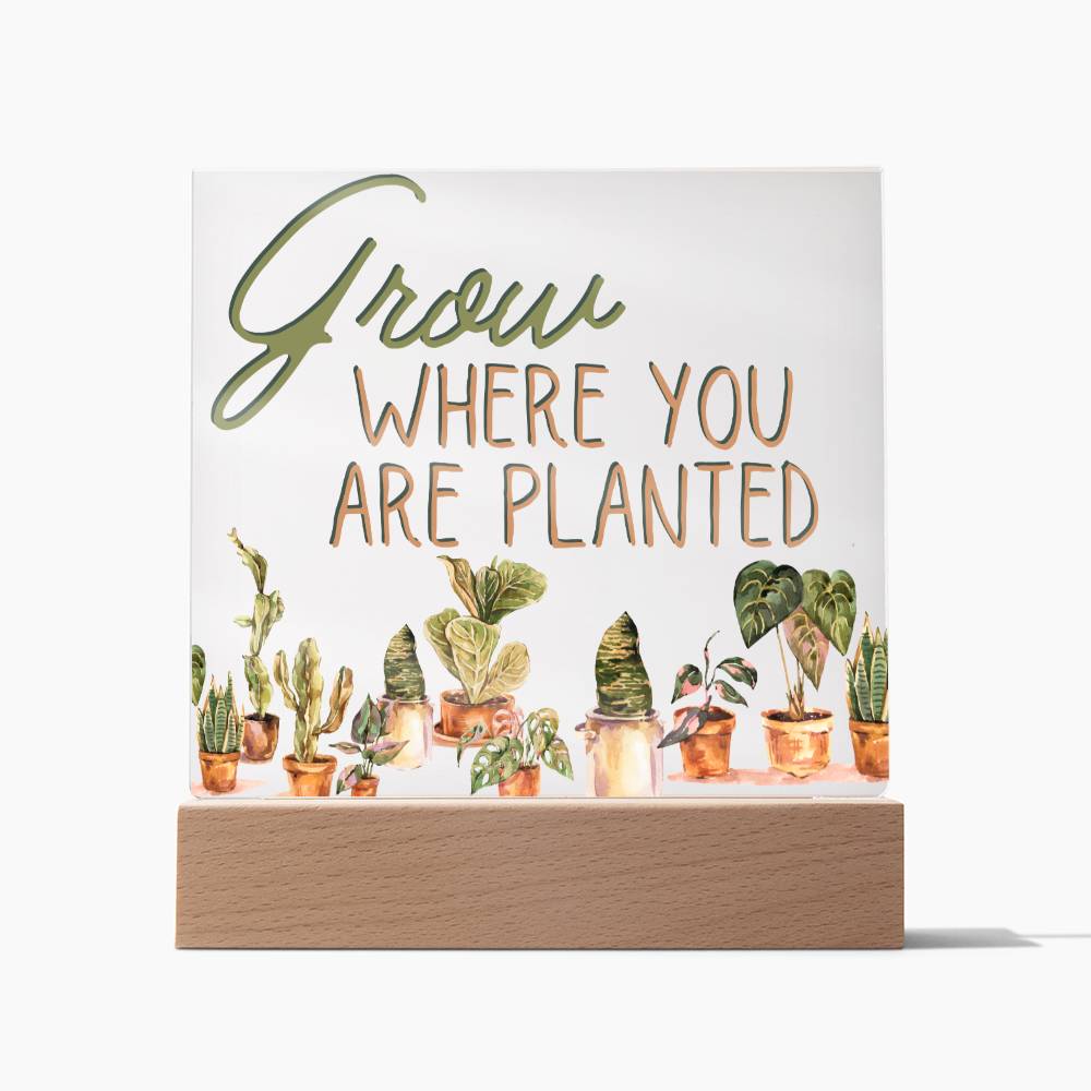 Grow Where You Are Planted - Funny Plant Acrylic with LED Night Light - Indoor Home Garden Decor - Perfect Gift for Plant Lovers