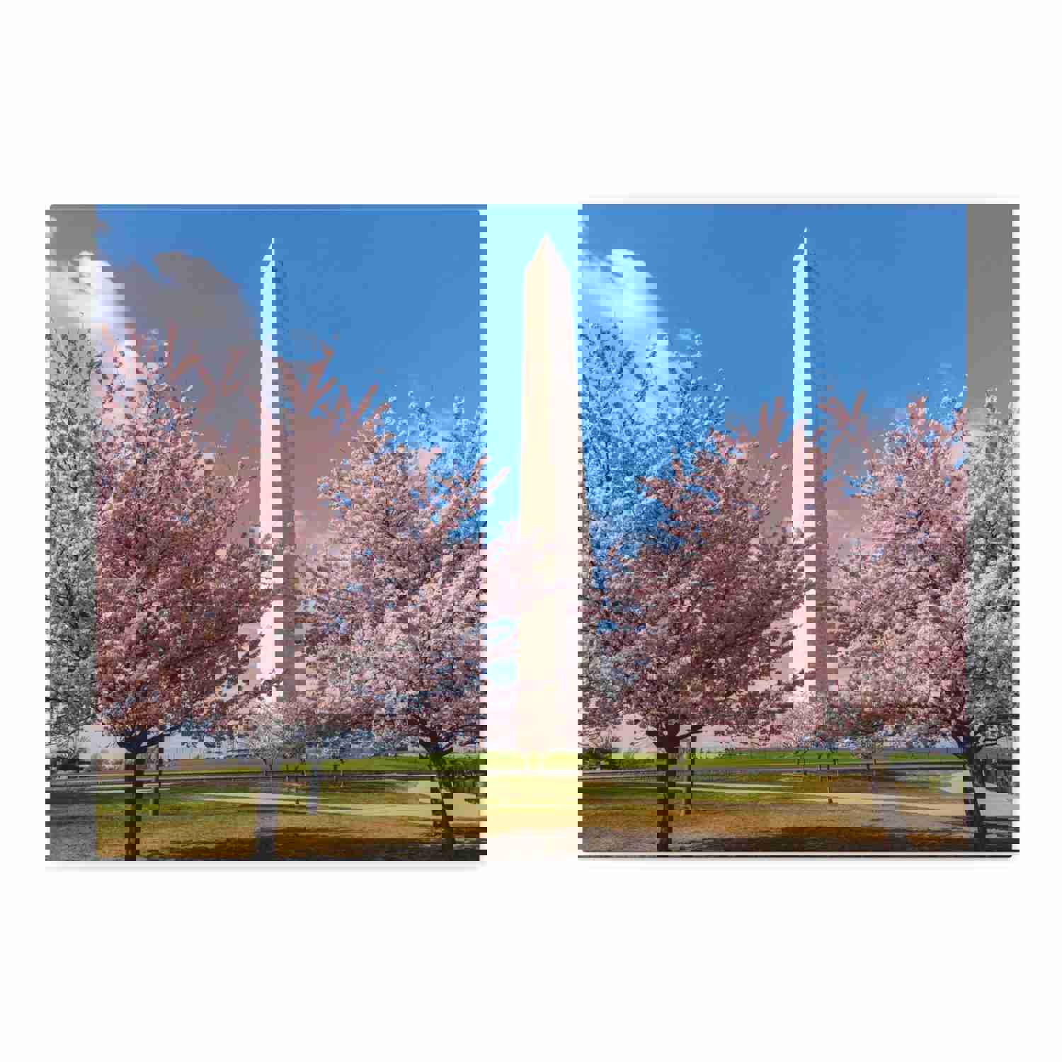 Washington Blossom Festival Nature Wilderness Photography Canvas Wall Art for Home Decor
