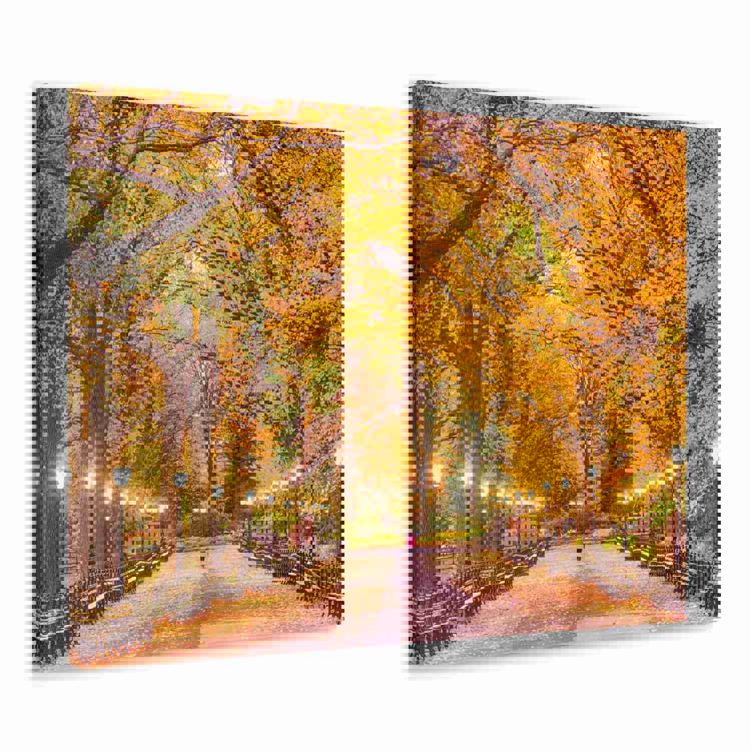 Orange Tree Autumn Park Nature Wilderness Photography Canvas Wall Art for Home Decor