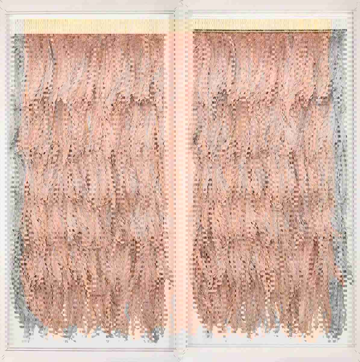 Natural Curiosities Rose Feathers Art - Custom Framed Wall Decor