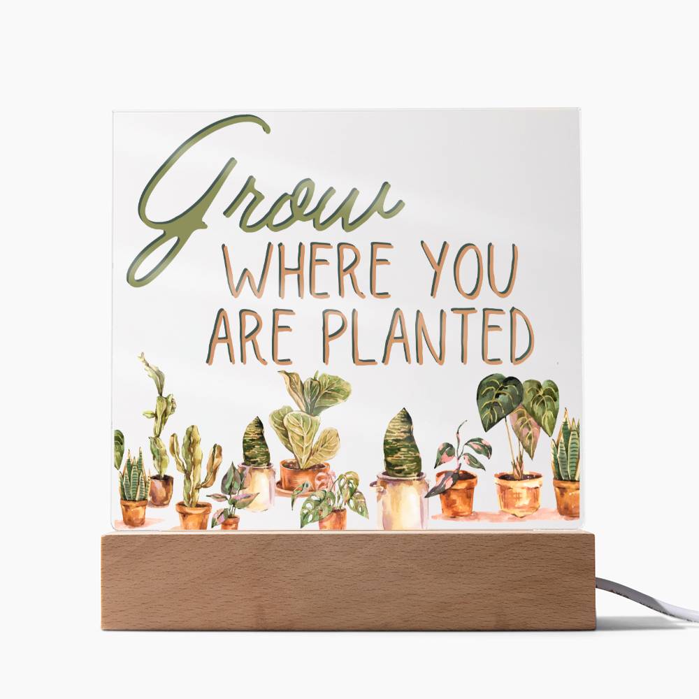 Grow Where You Are Planted - Funny Plant Acrylic with LED Night Light - Indoor Home Garden Decor - Perfect Gift for Plant Lovers