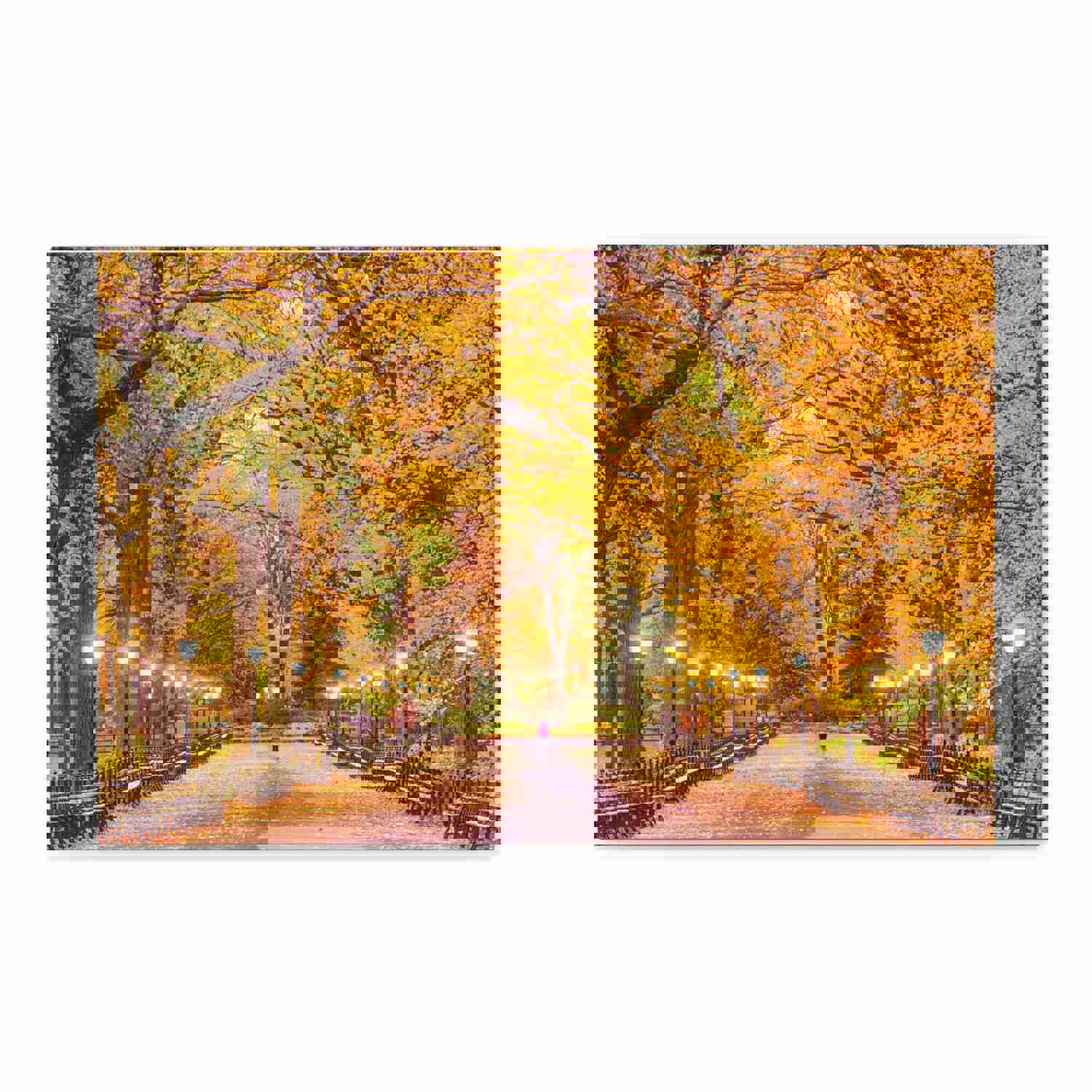 Orange Tree Autumn Park Nature Wilderness Photography Canvas Wall Art for Home Decor