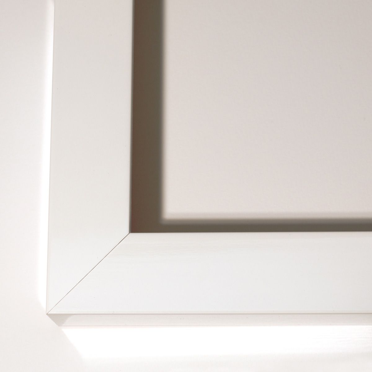 Natural Curiosities Rose Feathers Art - Custom Framed Wall Decor