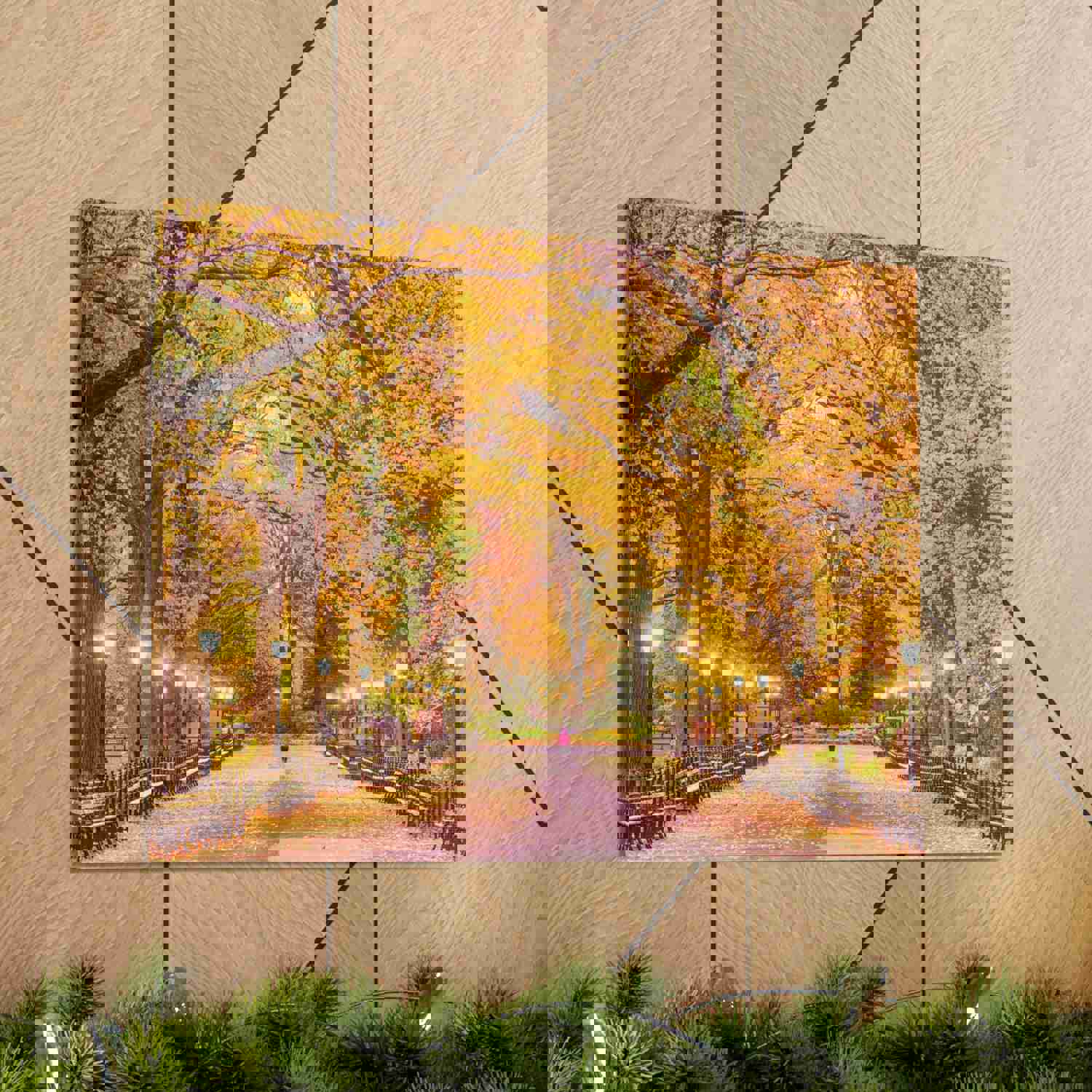 Orange Tree Autumn Park Nature Wilderness Photography Canvas Wall Art for Home Decor