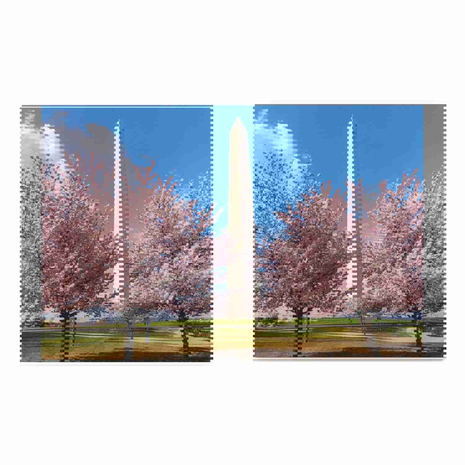 Washington Blossom Festival Nature Wilderness Photography Canvas Wall Art for Home Decor